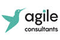 Agile Consultants