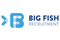 Big Fish Recruitment