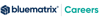 BlueMatrix