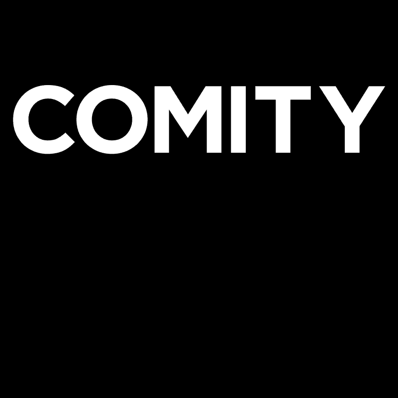 Comity Inc