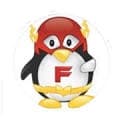 FLASH Technology Group