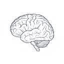 Neuro Health Collective