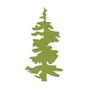 State of Oregon
