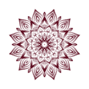Tanizze